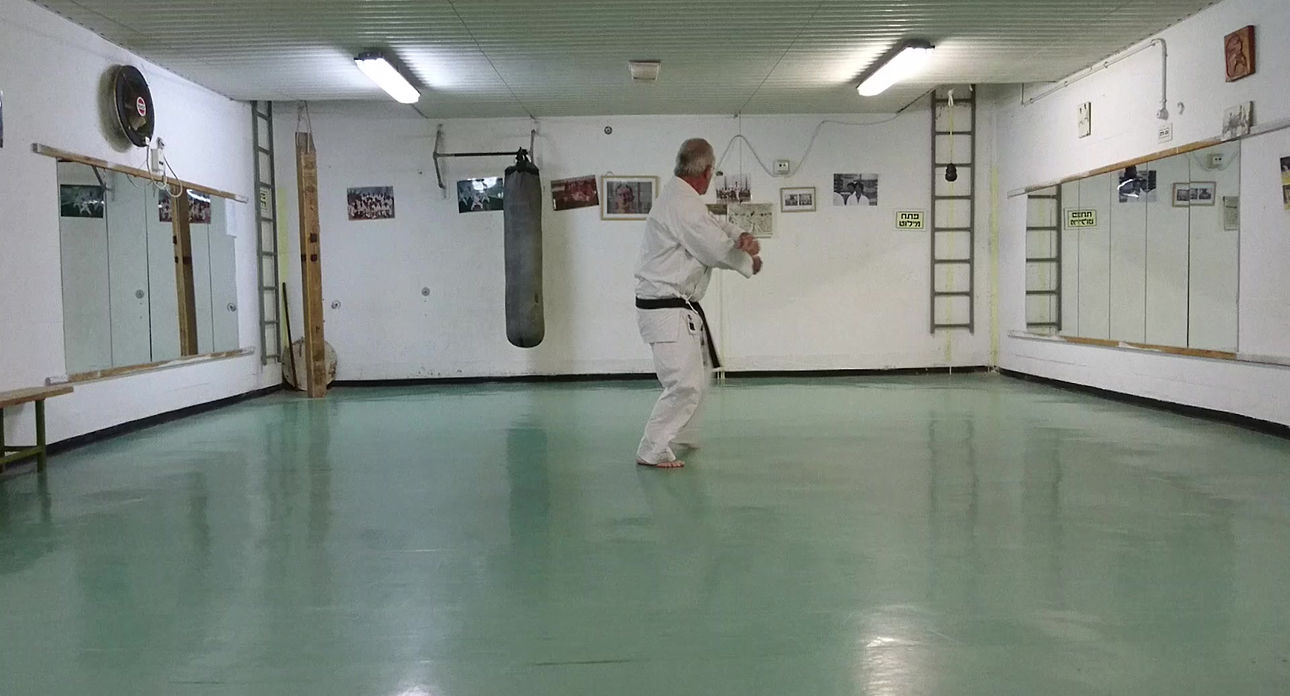 Taikyoku Shodan Godan Yoav Drori 2018